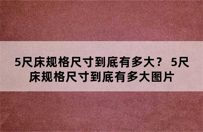 5尺床规格尺寸到底有多大？ 5尺床规格尺寸到底有多大图片